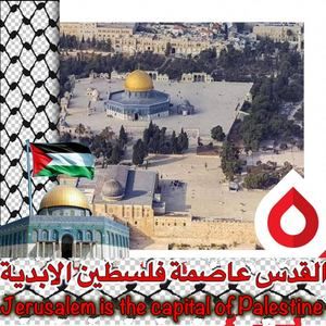 Meet your Posher, Hanadi